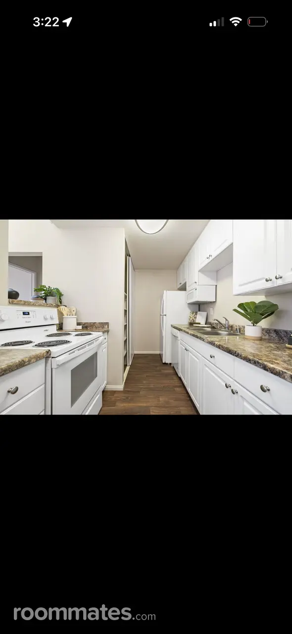 Profile photo 4 of 11