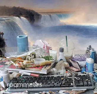 Roommate looking Hartford, CT, $1000