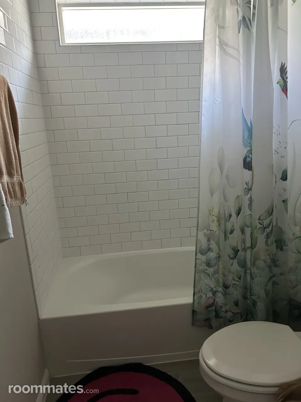 Profile photo 3 of 11