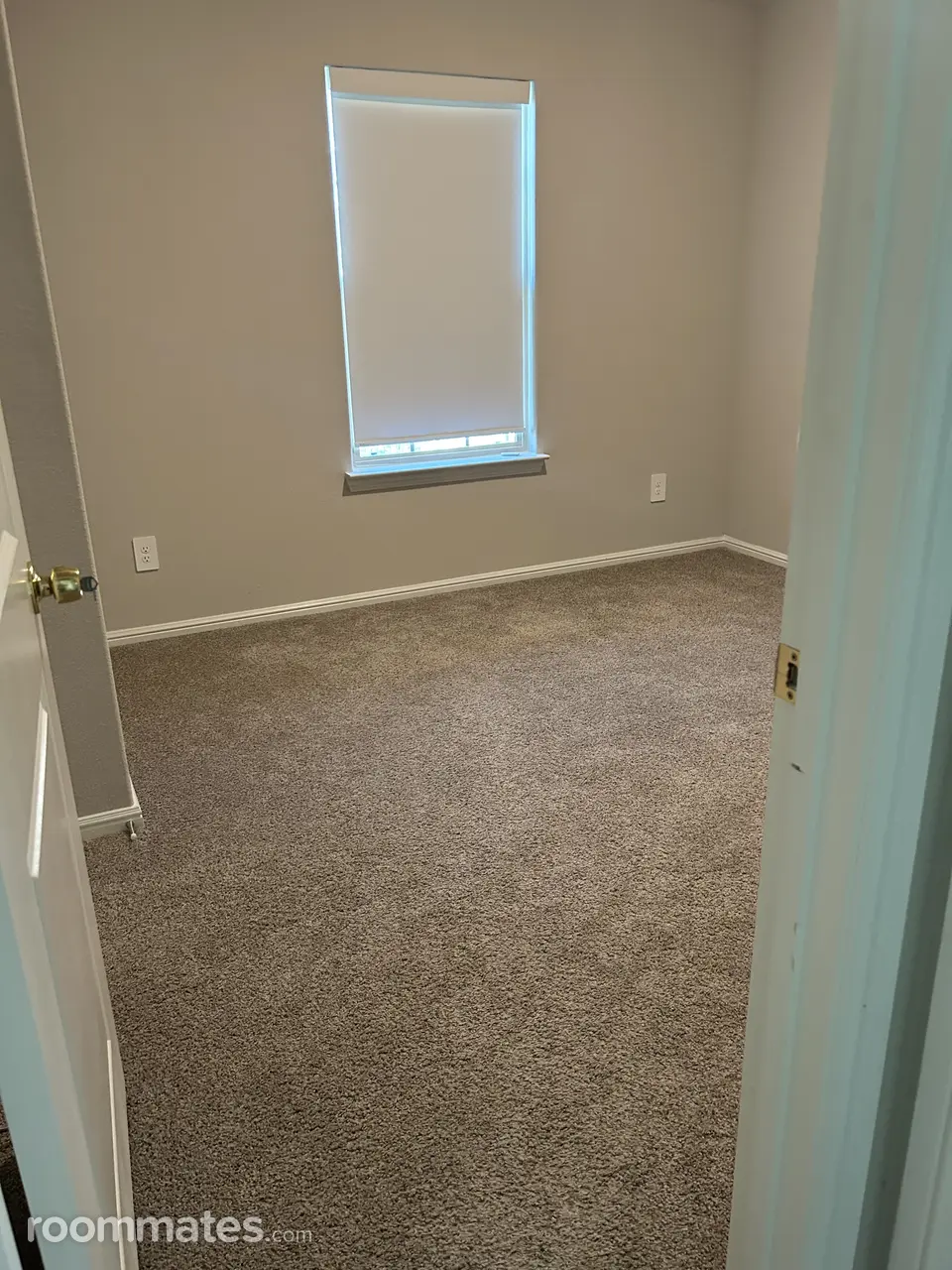 Profile photo 7 of 11