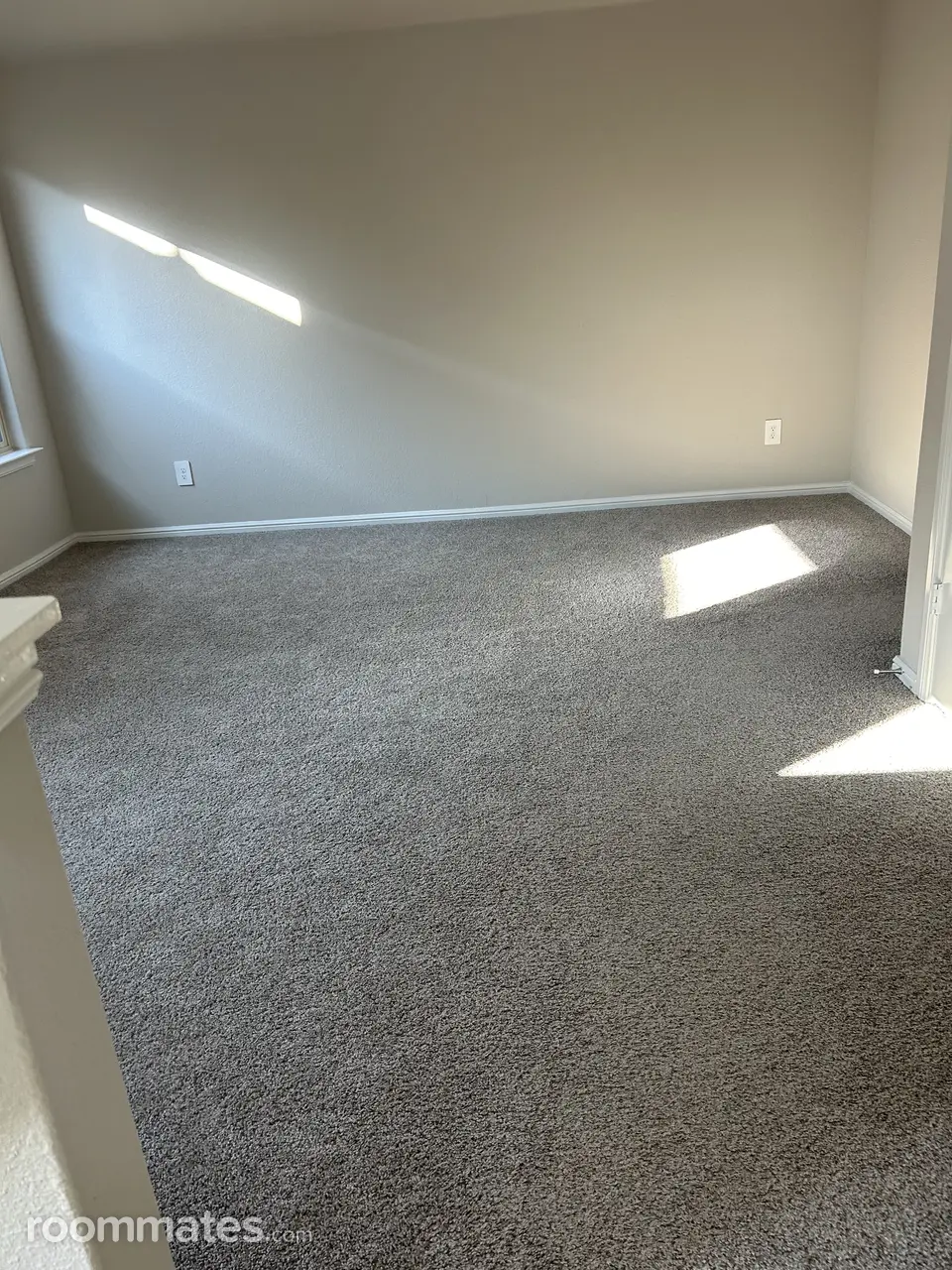 Profile photo 10 of 11