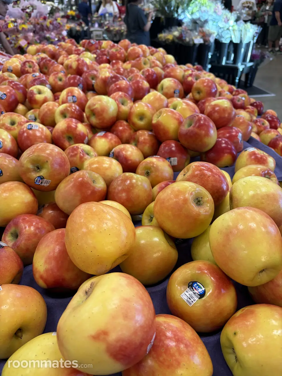 Profile photo 11 of 11