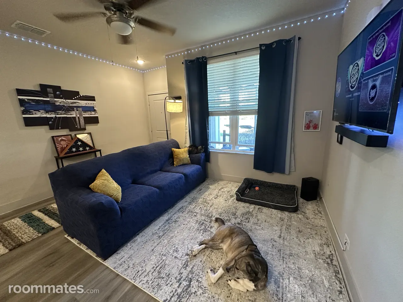 Profile photo 2 of 14