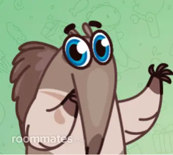 Roommate looking Jacksonville, FL, $1000