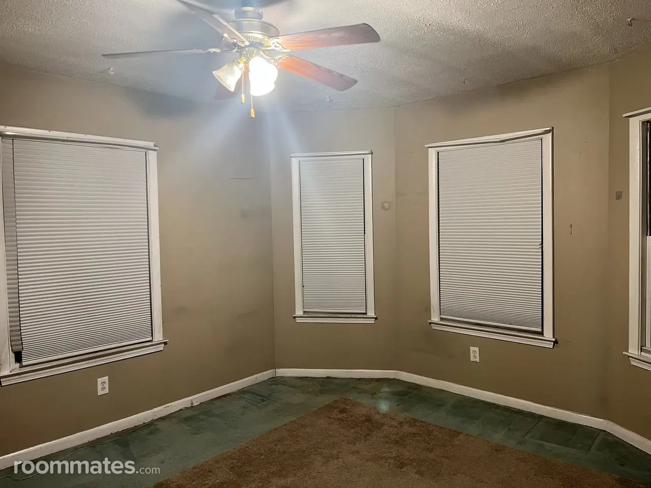 Profile photo 4 of 5