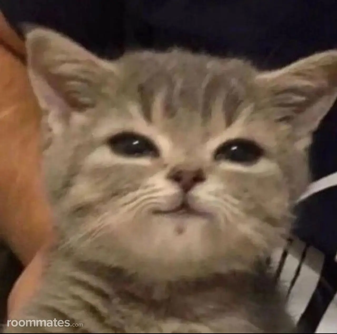 Profile photo 1 of 1