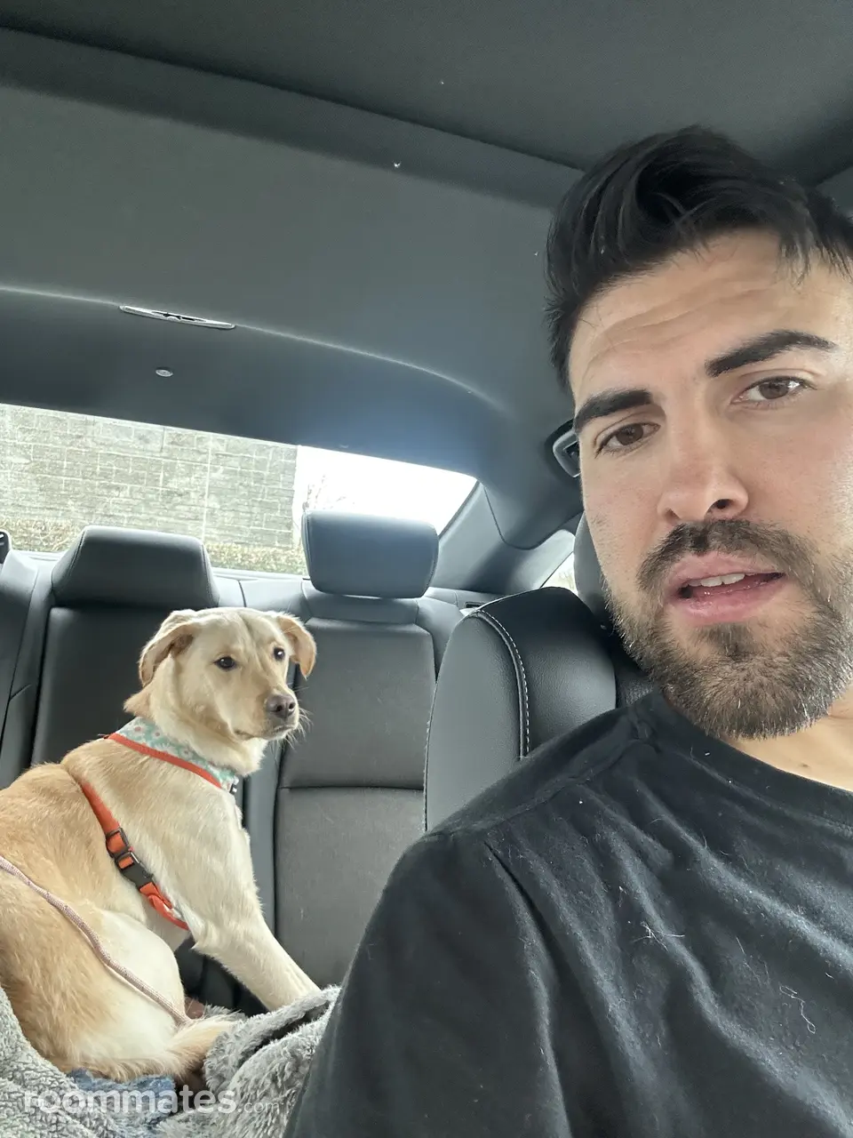 Profile photo 2 of 2