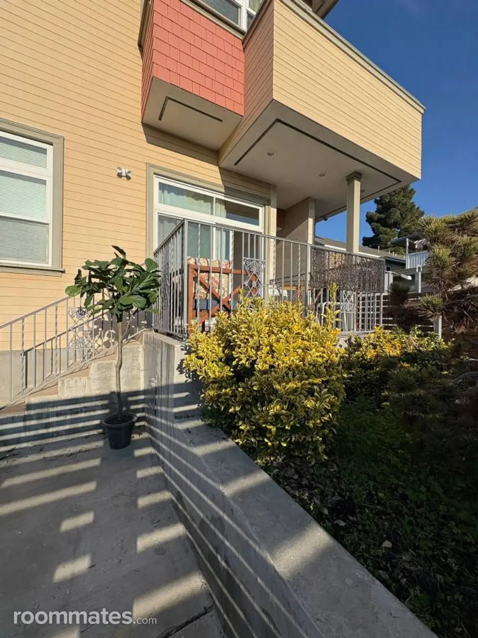 Profile photo 1 of 11