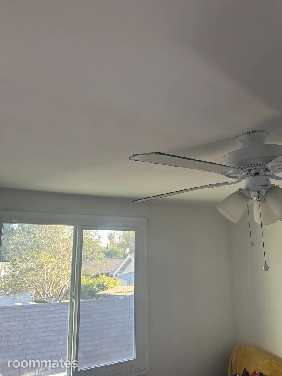 Profile photo 5 of 6