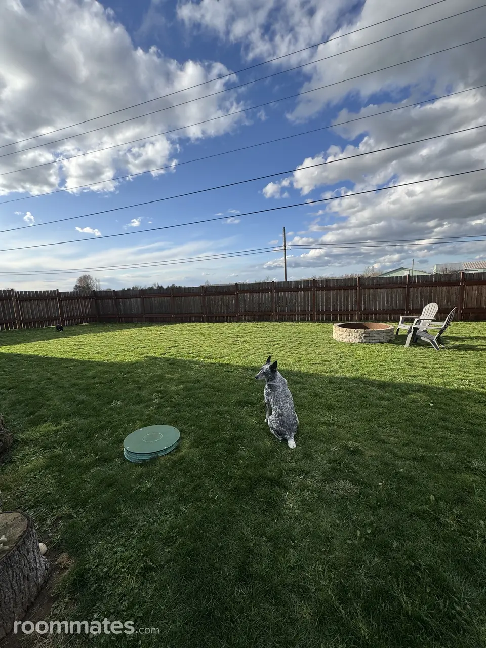 Profile photo 3 of 18