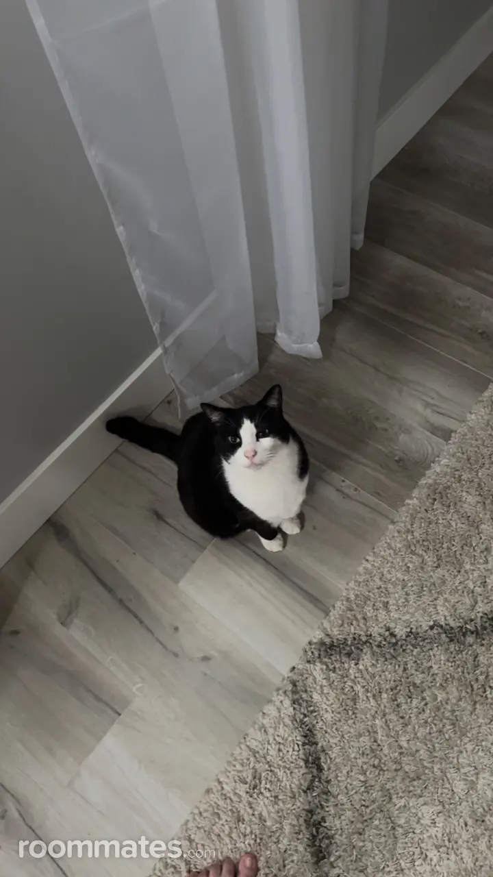 Profile photo 10 of 18