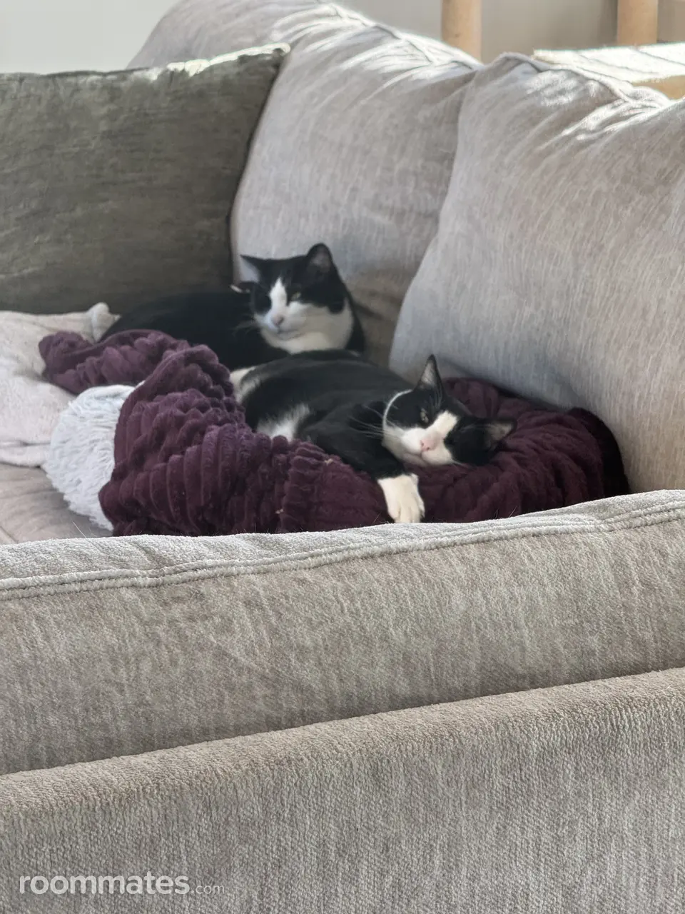 Profile photo 15 of 18