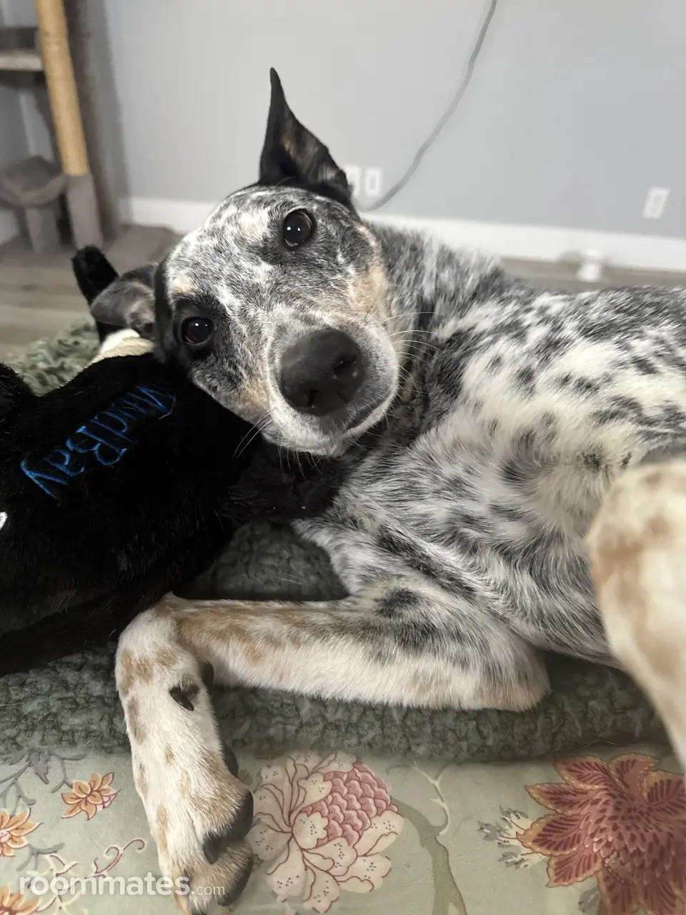 Profile photo 16 of 18