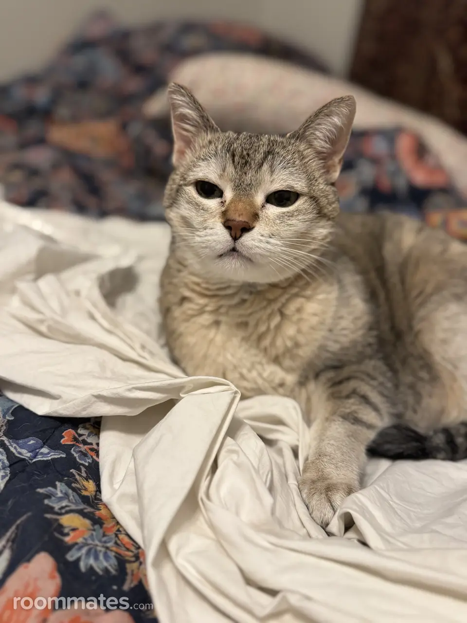 Profile photo 3 of 3