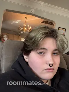 Roommate looking Portsmouth, VA, $800