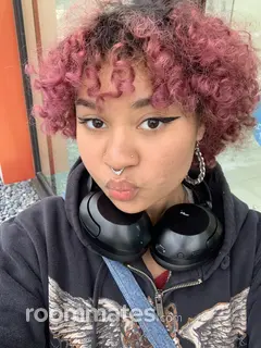 Roommate looking Miami, FL, $1000