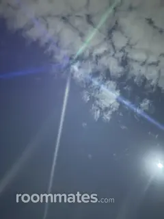 Roommate looking Rockville, MD, $800