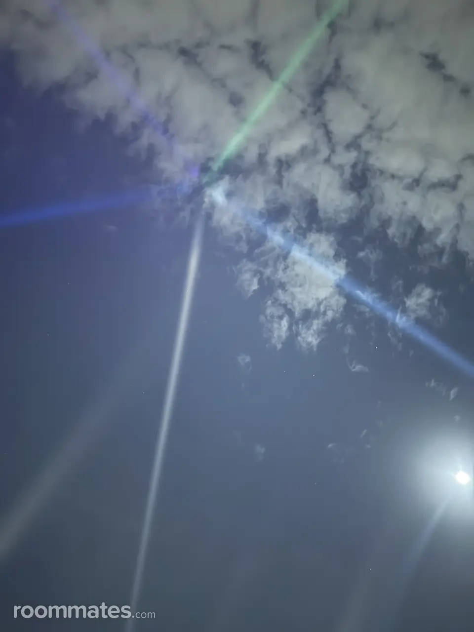 Profile photo 1 of 1