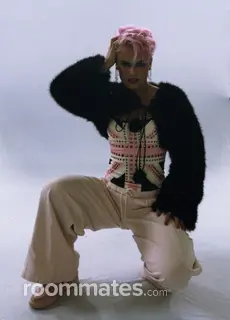 Roommate looking Orlando, FL, $1000