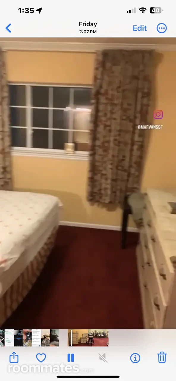 Profile photo 7 of 8