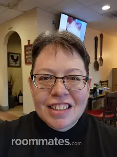 Roommate looking Wesley Chapel, FL, $1100