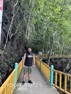 Roommate looking Palos Hills, IL, $700