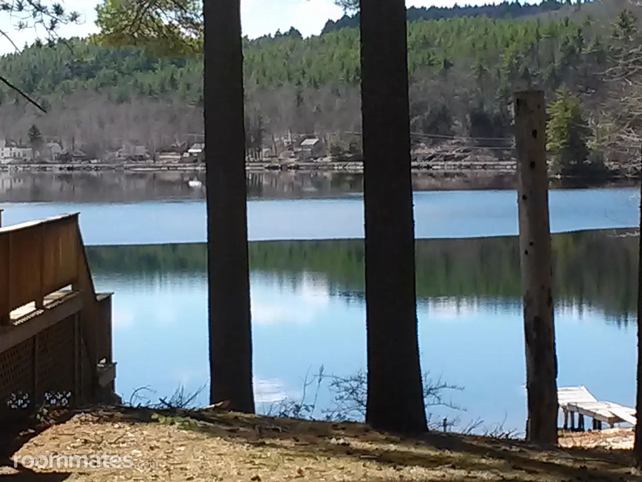 Profile photo 1 of 1