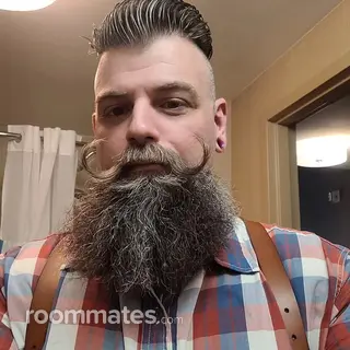 Roommate looking Tampa, FL, $900