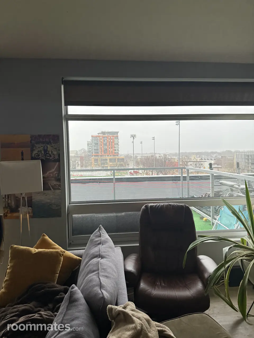 Profile photo 6 of 7