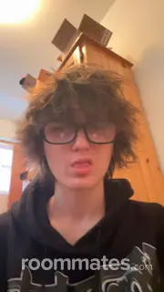 Roommate looking Dearborn Heights, MI, $400