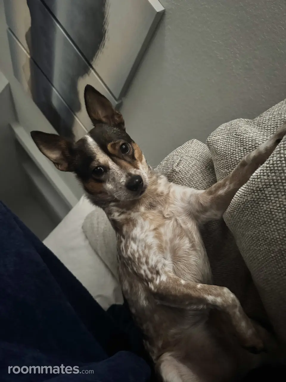 Profile photo 4 of 4