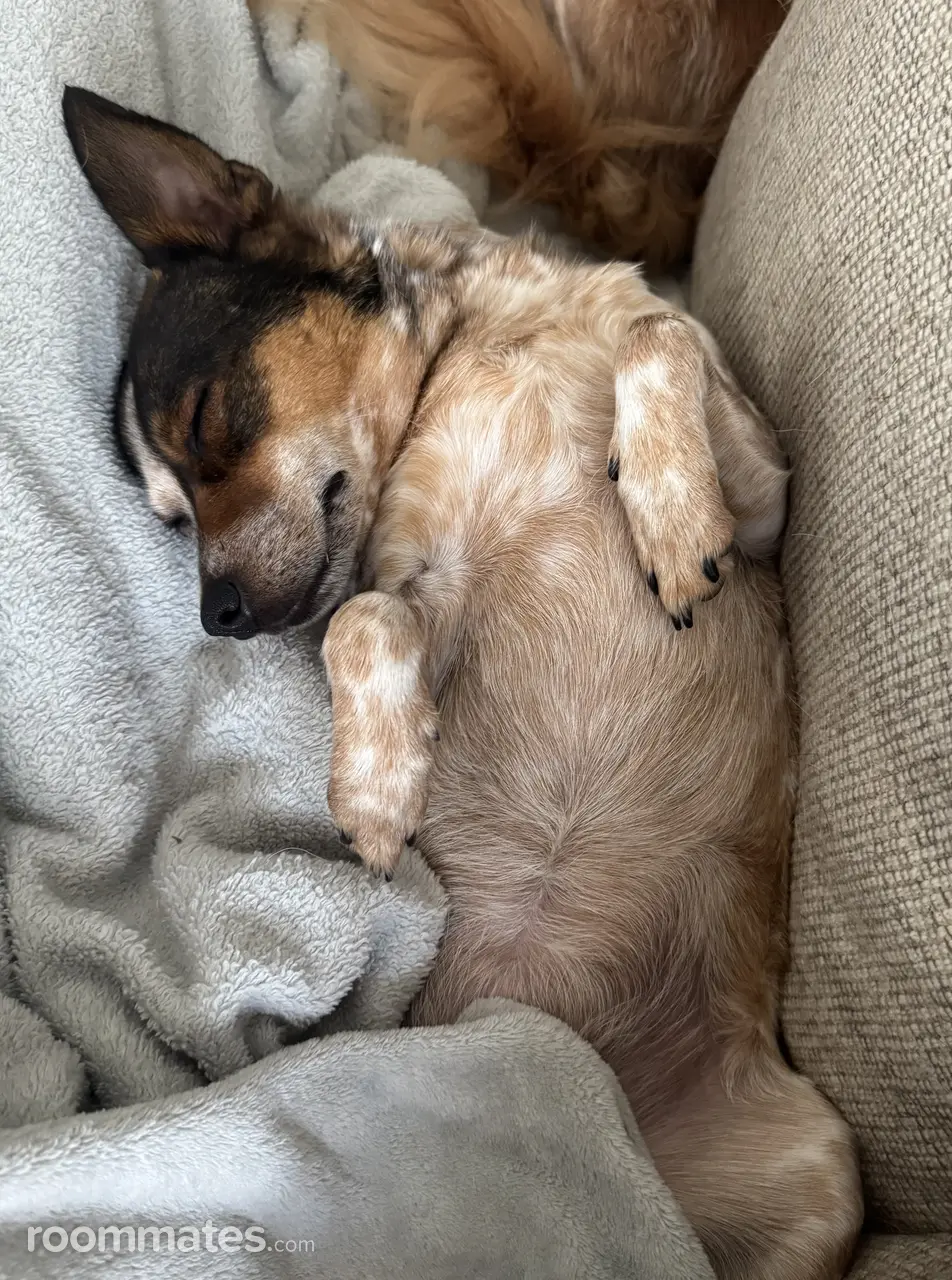 Profile photo 3 of 4