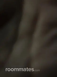 Roommate looking Perryville, MD, $400