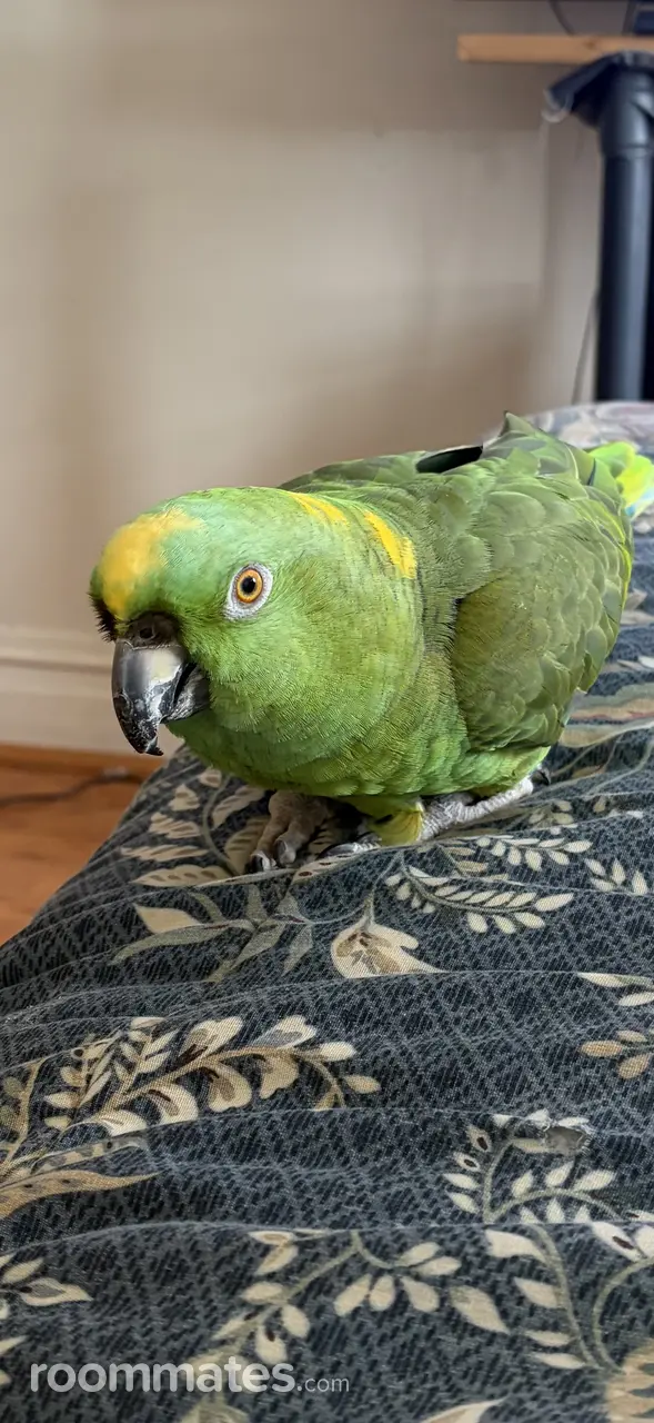 Profile photo 2 of 2