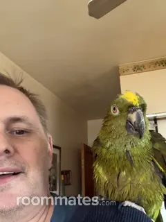 Roommate looking Elmwood Park, IL, $800