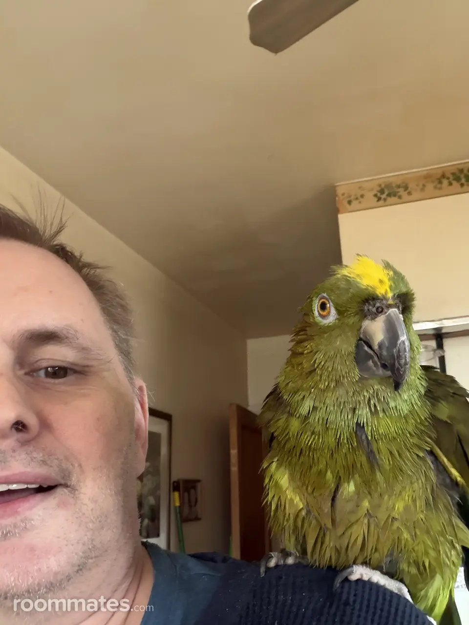 Profile photo 1 of 2