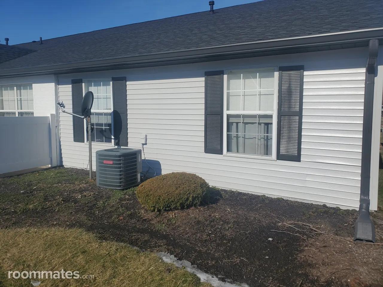 Profile photo 8 of 11