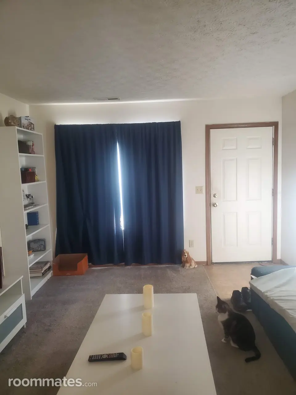 Profile photo 5 of 11