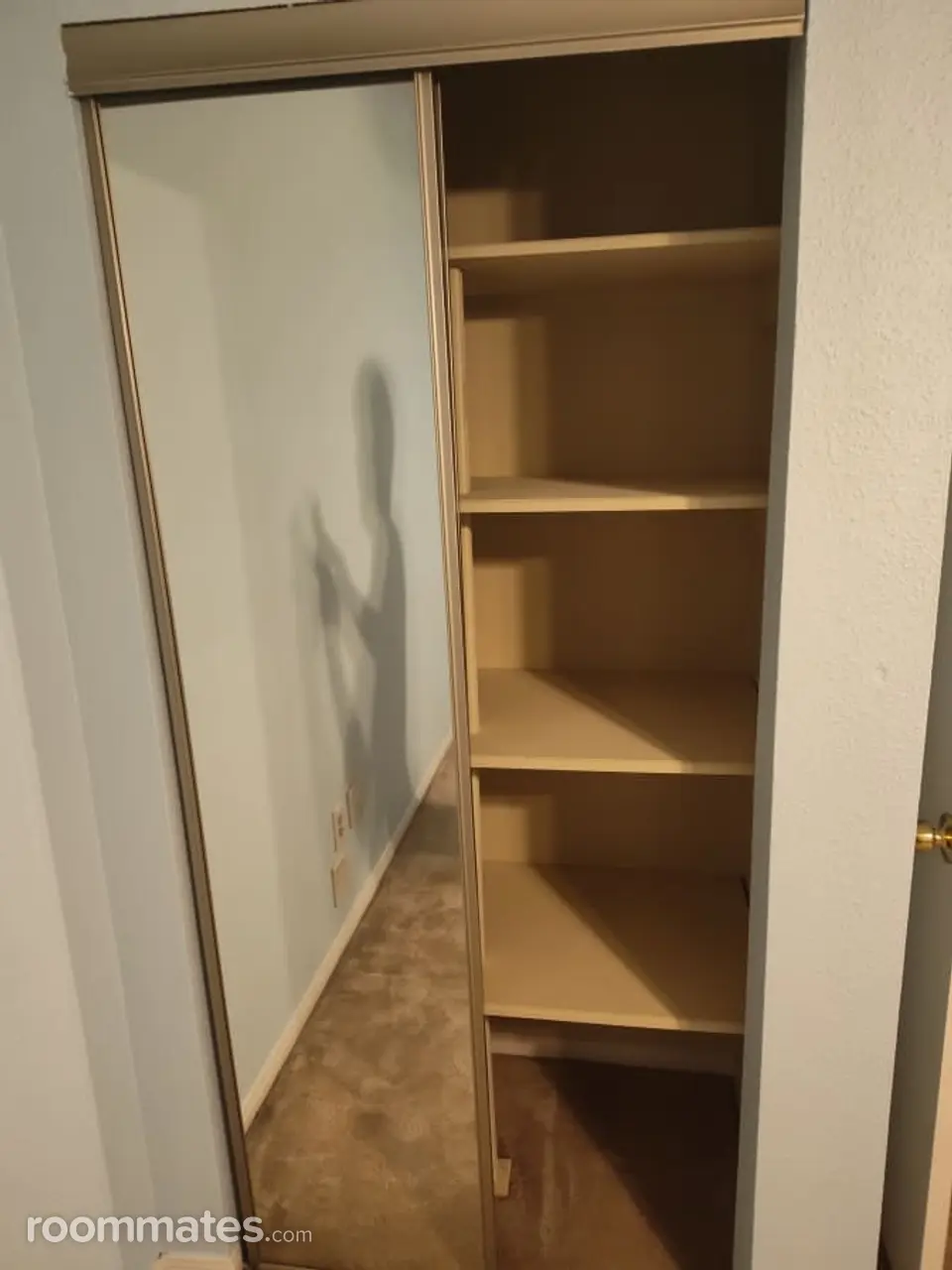 Profile photo 2 of 10