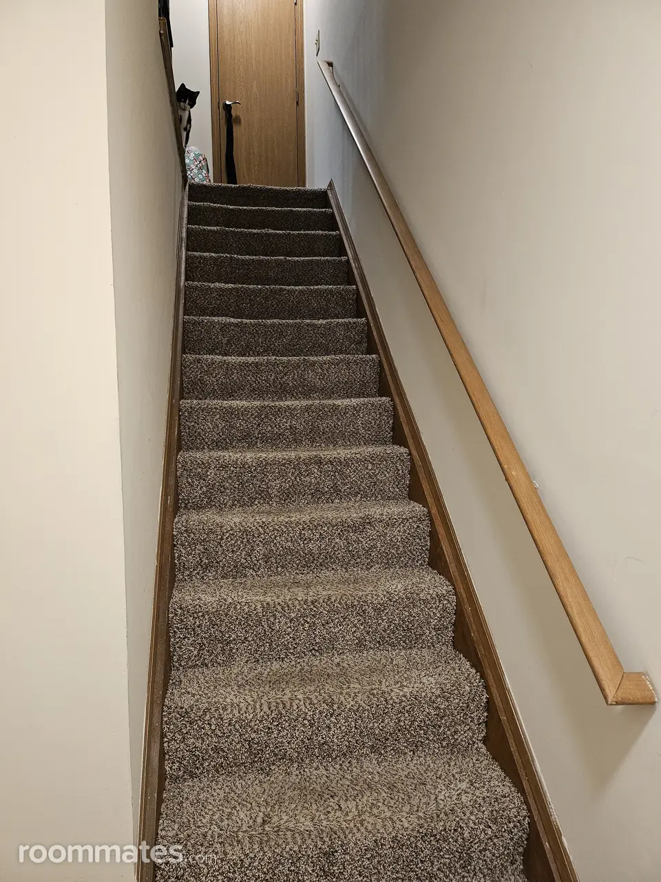 Profile photo 6 of 7