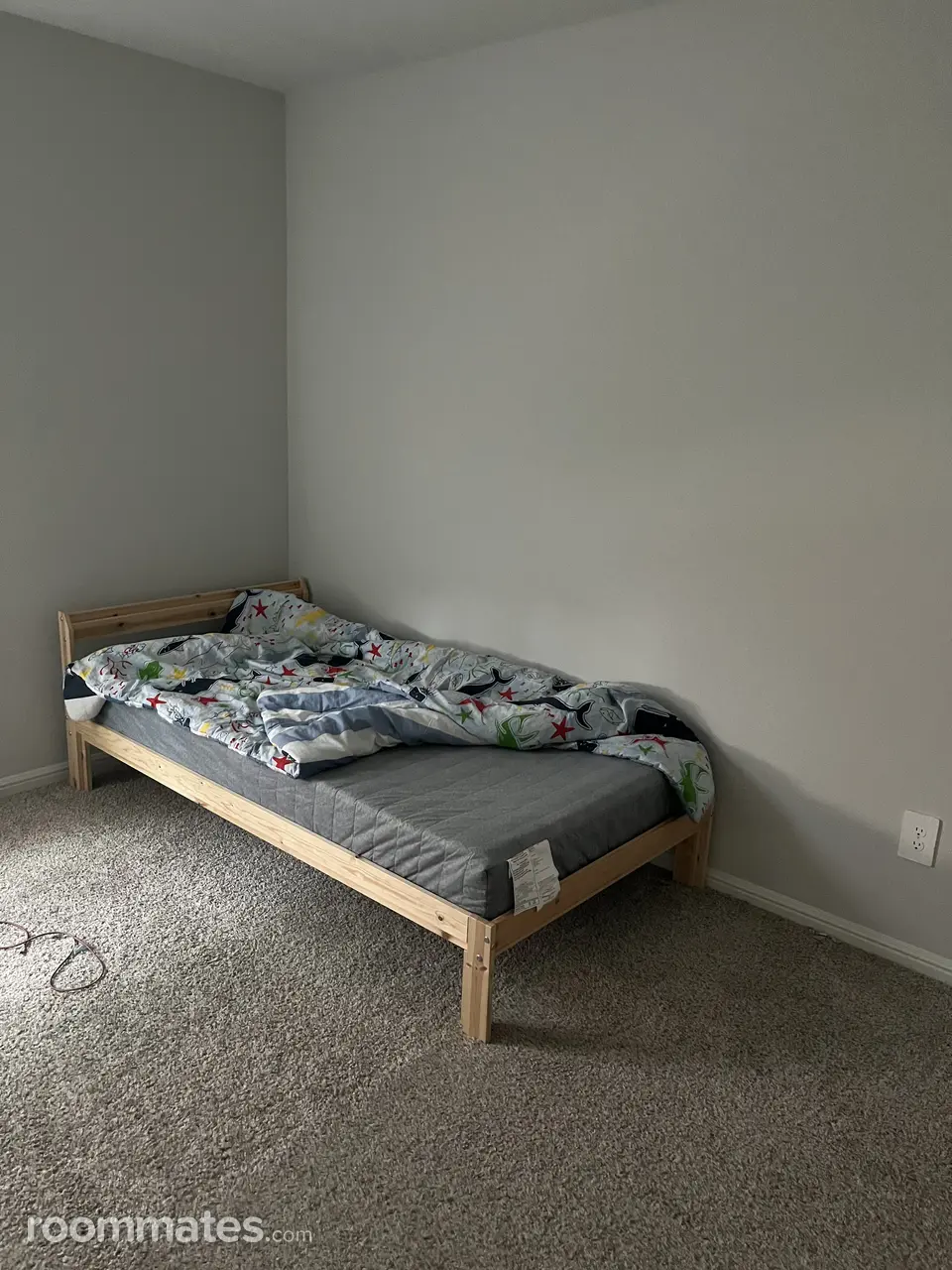 Profile photo 4 of 8