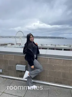 Roommate looking Houston, TX, $700