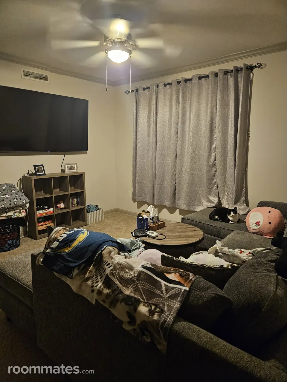 Profile photo 7 of 8