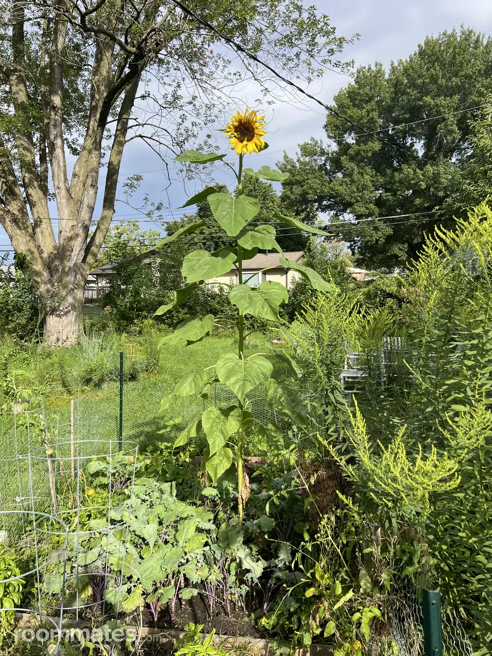 Profile photo 6 of 7