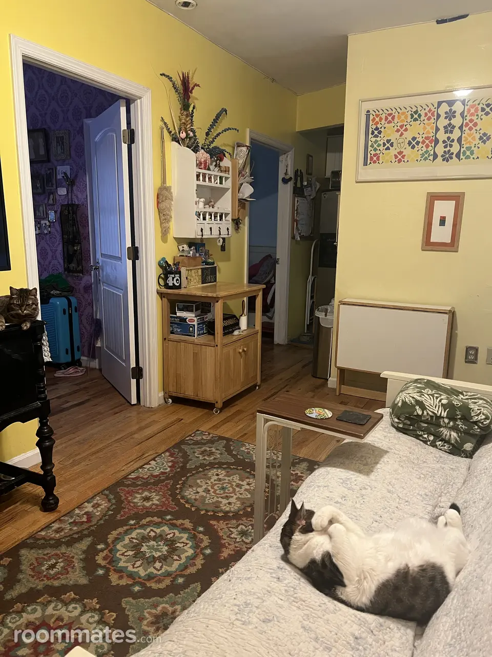 Profile photo 6 of 8