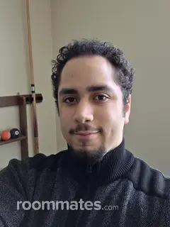 Roommate looking Buffalo, NY, $800