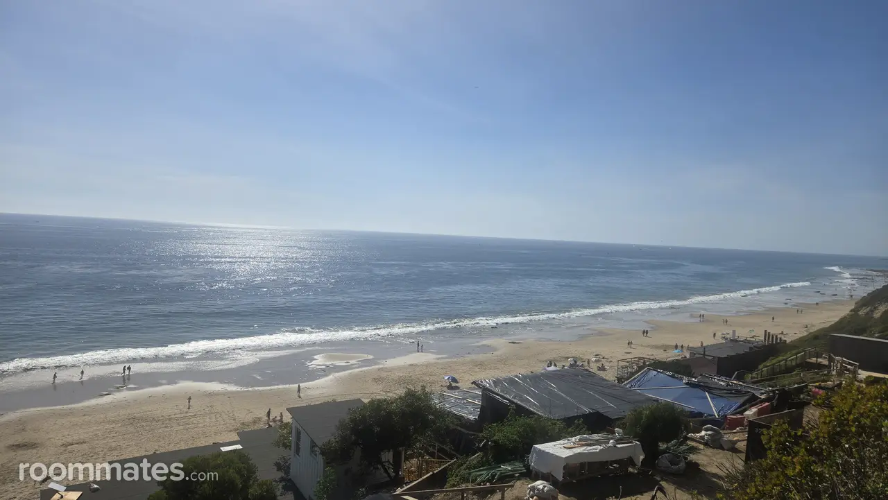 Profile photo 1 of 1