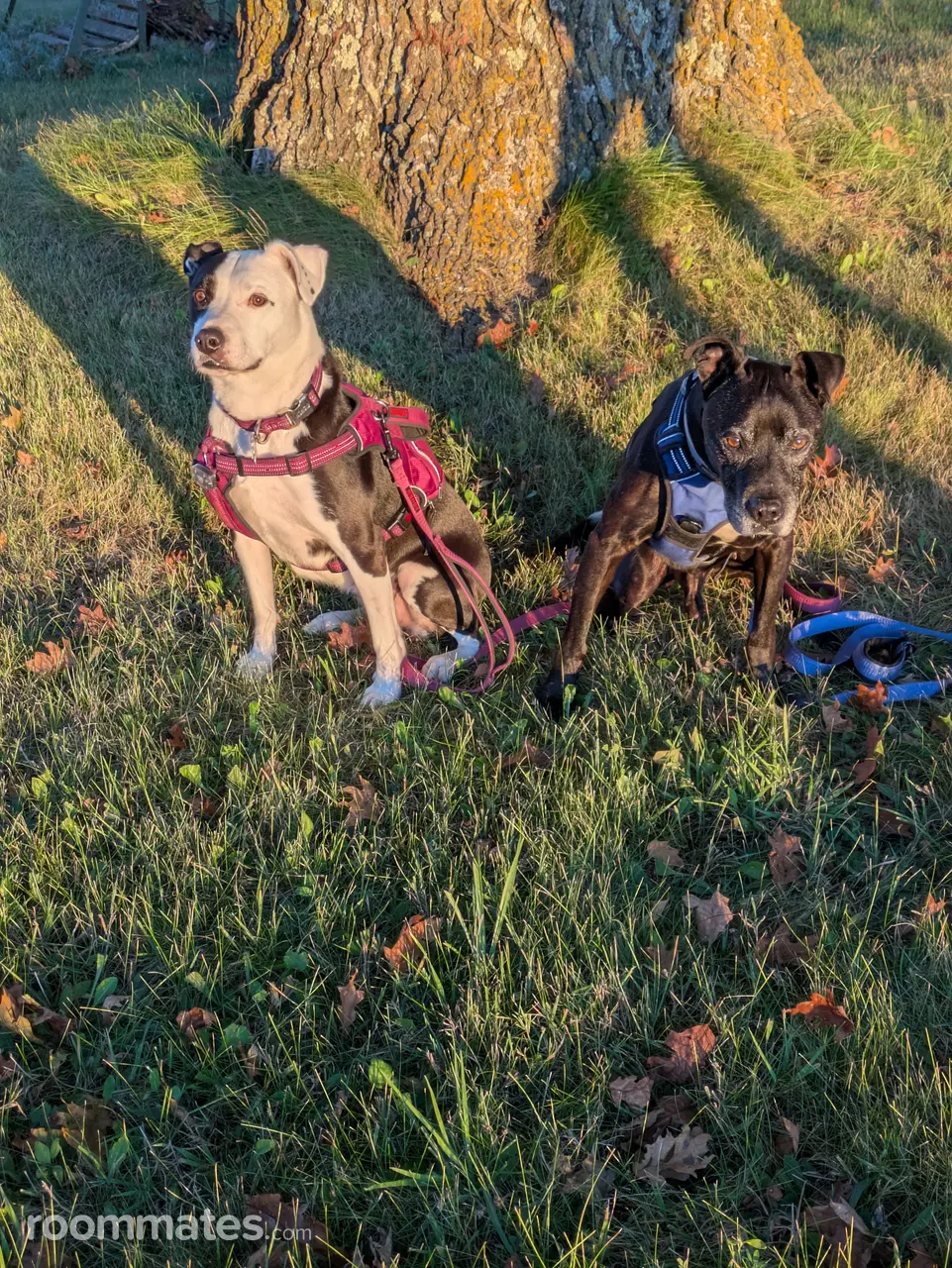 Profile photo 4 of 7