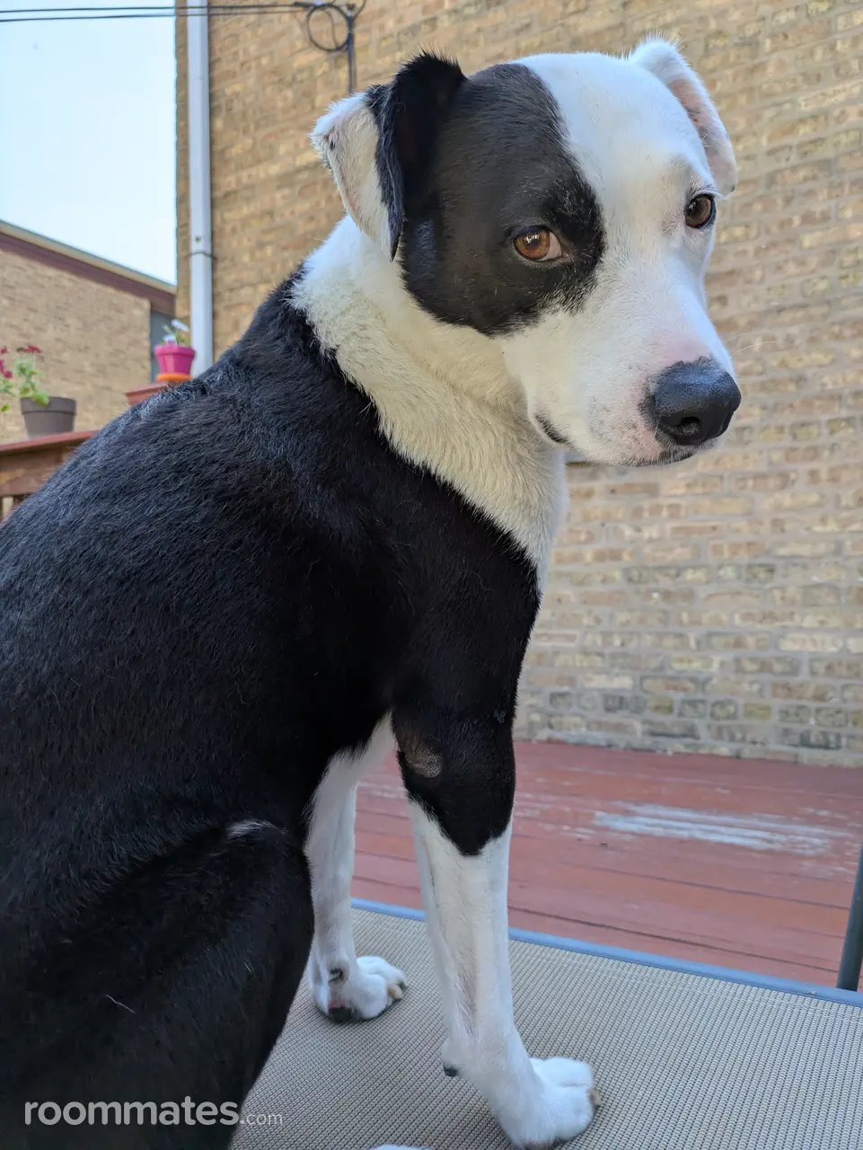 Profile photo 6 of 7