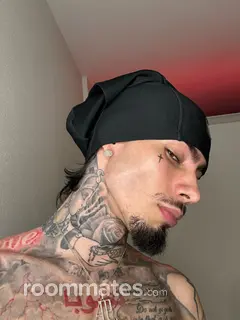 Roommate looking Cypress, TX, $1200